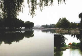 东湖公园风景图