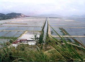 琅岐岛风景图