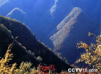 广志山风景图