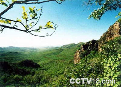 大青沟国家级自然保护区风景图