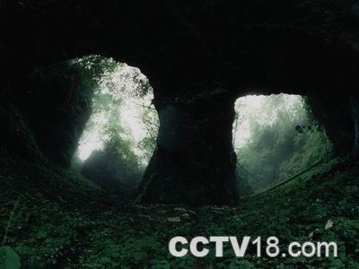 神农架天燕原始生态旅游区风景图