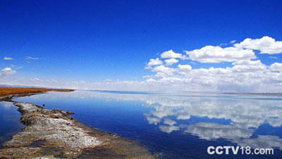 大苏干湖自然保护区风景图