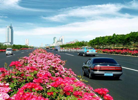 北京自驾车环游山东半岛[图]