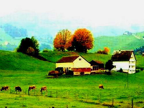 阿尔卑斯山：悦耳悠长铃儿响叮当