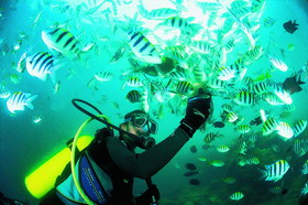 潜水运动项目介绍
