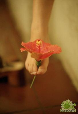 登高旅游提防踝关节扭伤