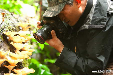 奚志农成功拍到越南金丝猴