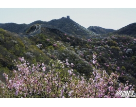 韵味十足的野长城，美景与刺激可以兼得