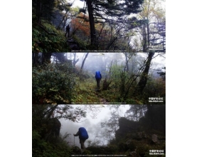 断肠草：失温容易被人忽略的危险