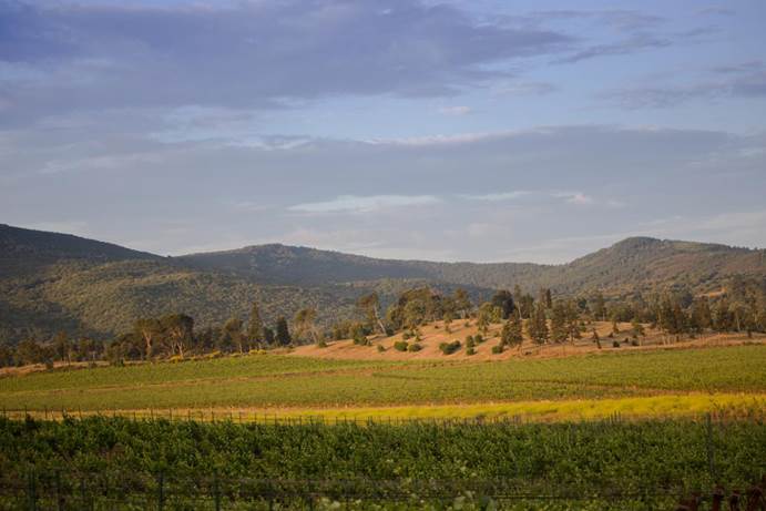 丨听！来自奥希耶庄园的声音丨