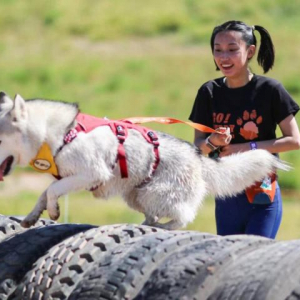 河北崇礼户外体验活动“野放计划”启动