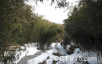 云顶自然风景旅游区