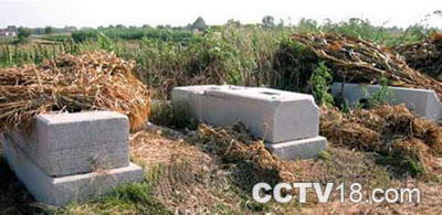 昌邑市傅振邦墓