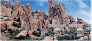 孙伯云蒙山生态旅游风景区