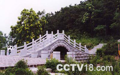 茶山园艺旅游区