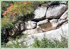 栾川县养子沟旅游度假区