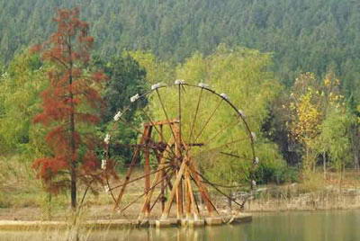 泉山国家森林公园