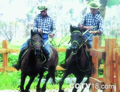 牛仔乡村俱乐部