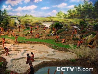 水乡农具博物馆