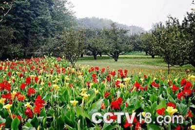 古黄河生态民俗园