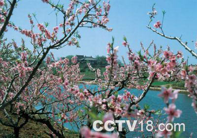 蜀冈西峰生态公园