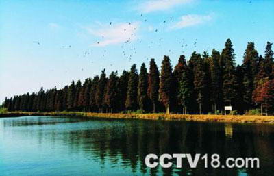 渌洋湖自然保护区