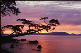 杭州东明山森林公园