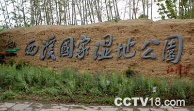 西溪国家湿地公园