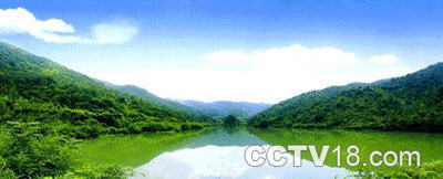 杭州杨静坞森林公园