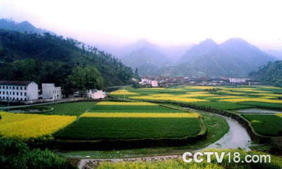 俞源太极星象村