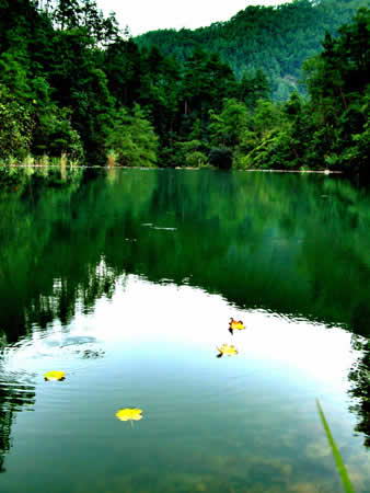 白云山森林公园