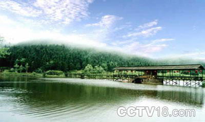 白马山森林公园