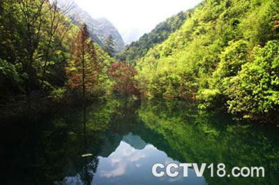 飞石岭生态景区