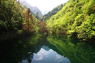 飞石岭生态景区