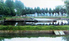 巢湖汤池温泉度假区