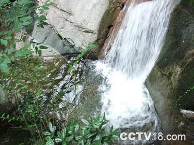 万佛山森林公园