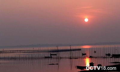 升金湖自然保护区