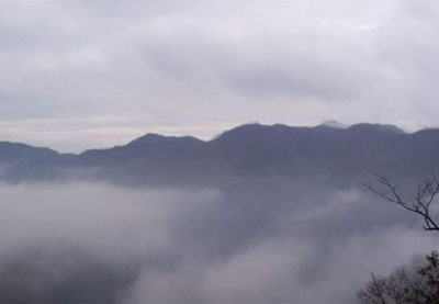 板桥自然保护区