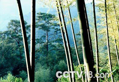 永春牛姆林生态旅游区