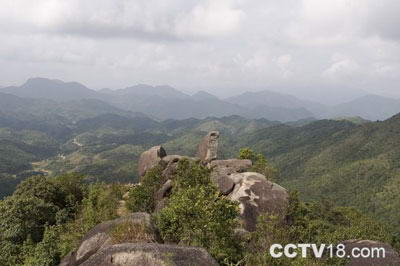 贡鸭山森林公园