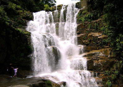 武夷山自然保护区