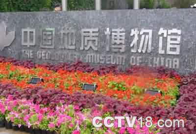 中国地质博物馆