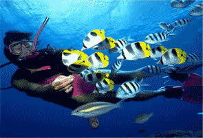 北京工体富国海底世界