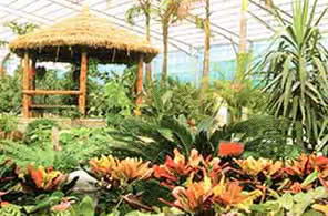 星湖绿色生态观光园