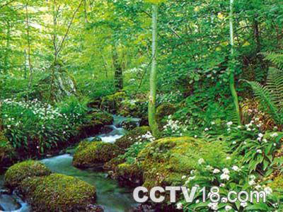 白虎涧自然风景区