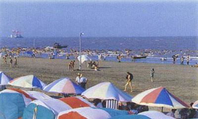 乐亭海滨旅游区