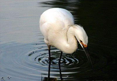 秦皇岛野生动物园