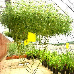 涿州市润生生态园