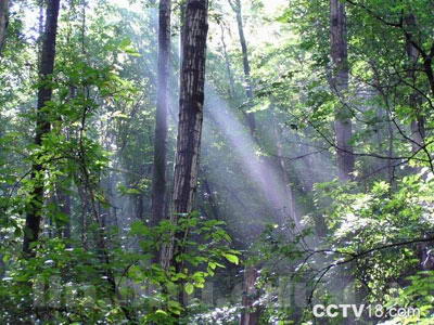 平泉辽河源风景区