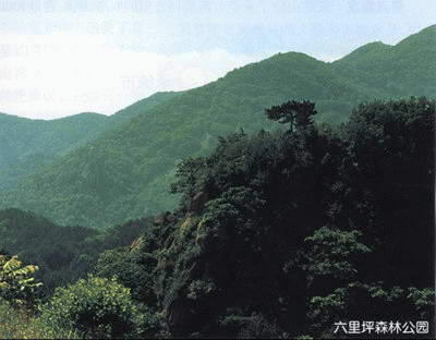六里坪森林公园